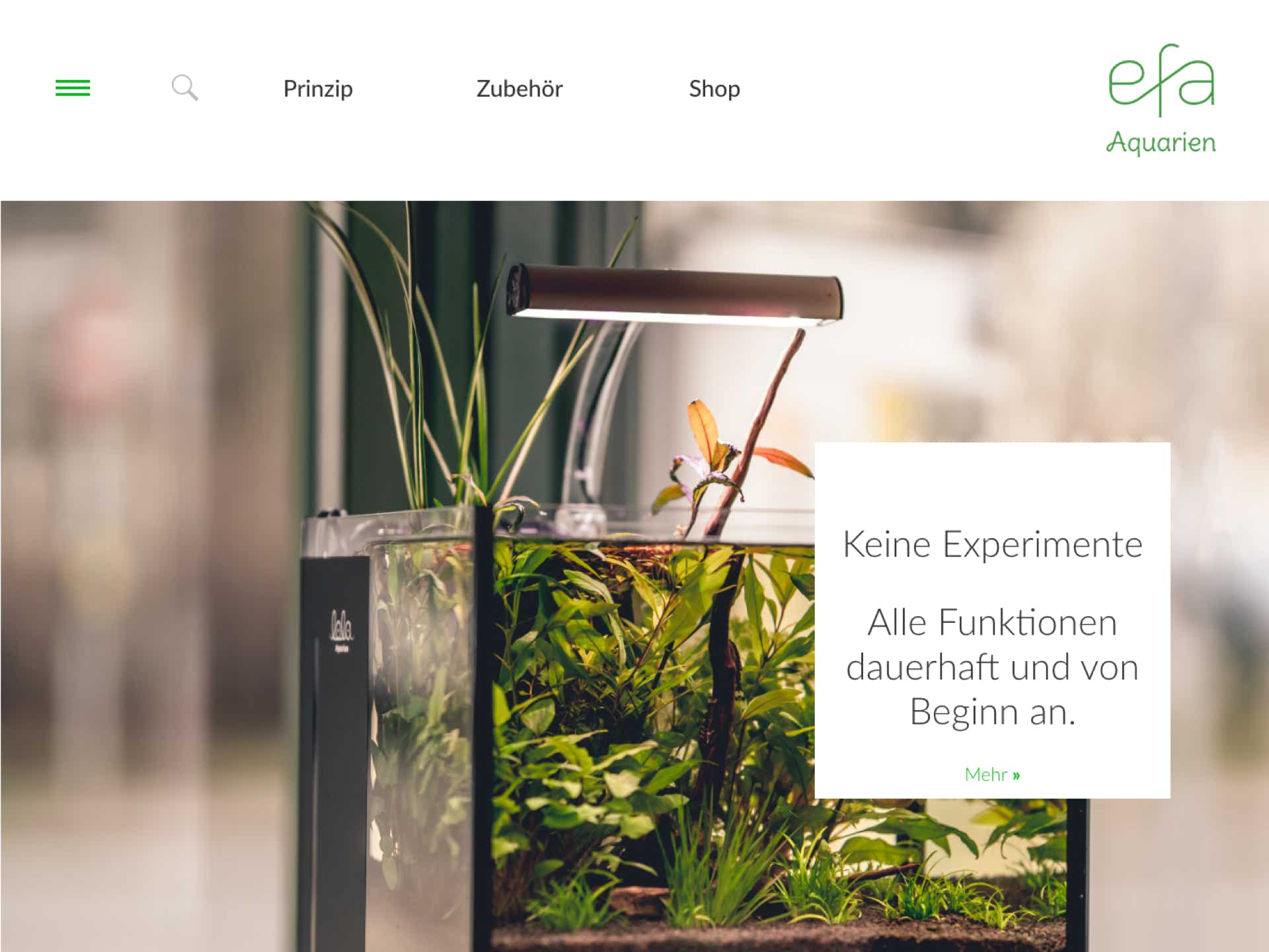 Webdesign und Logo Design für efa Aquarien. efa ist ein revolutionäres neues System für Aquarien. Die Website entstand in enger Kooperation mit dem Erfinder.